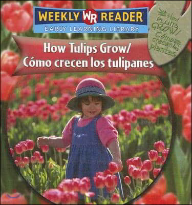 How Tulips Grow / Como Crecen Los Tulipanes = How Tulips Grow