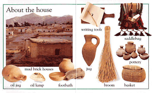 My First Bible Book (Board Book)