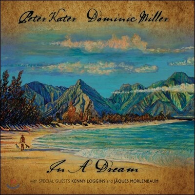 Peter Kater / Dominic Miller - In A Dream 피터 케이터 도미니크 밀러