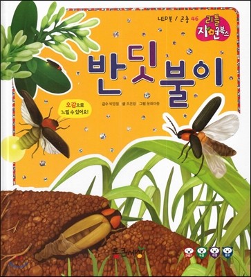 반딧불이 (곤충) (LED북)