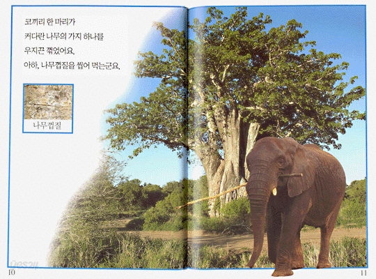 동물들아 밥먹자