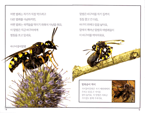 벌레 벌레 벌레