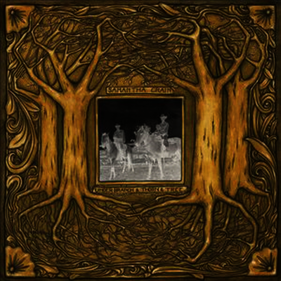 Samantha Crain — Under Branch & Thorn & Tree (Gatefold) 앨범 커버