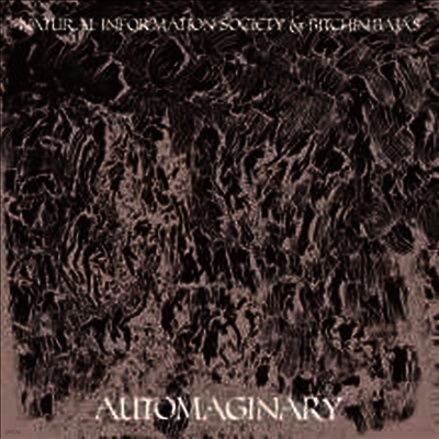 Natural Information Society & Bitchin Bajas — Automaginary 앨범 커버