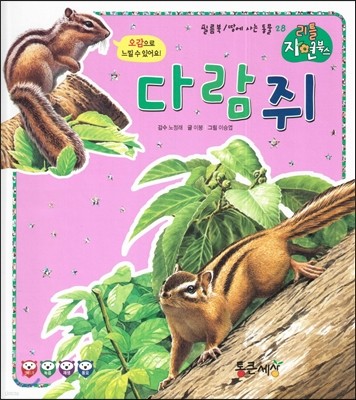 다람쥐 (땅에사는동물) (필름북) 