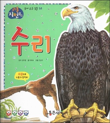 수리 (날개있는동물)