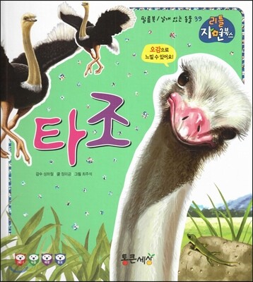 타조 (날개있는동물)