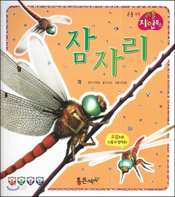 잠자리 (곤충)