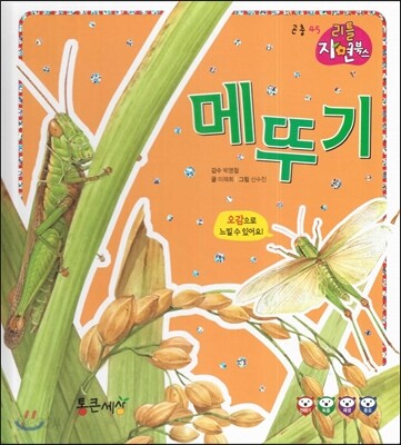 메뚜기 (곤충)