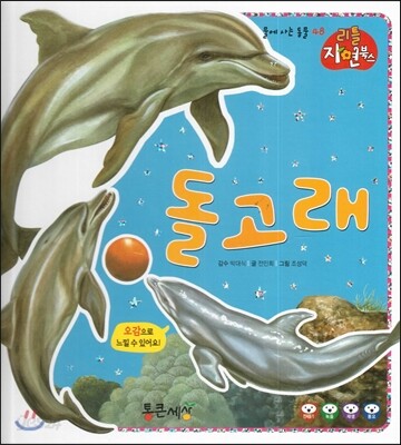 돌고래 (물에사는동물)