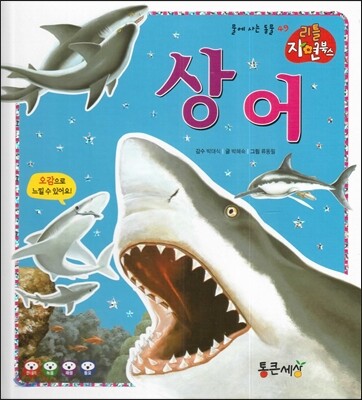 상어 (물에사는동물)