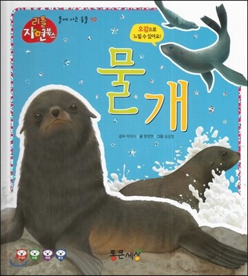 물개 (물에사는동물)
