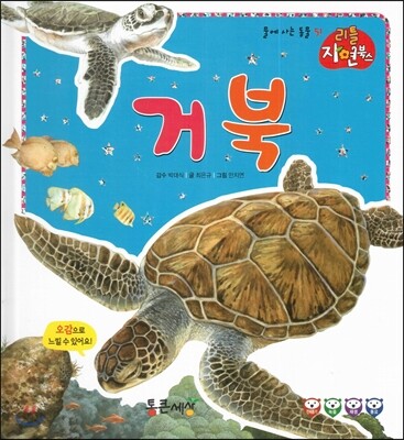 거북 (물에사는동물)