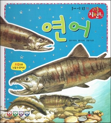 연어 (물에사는동물)