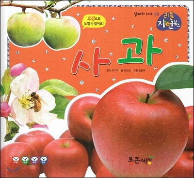 사과 (열매와 채소) 