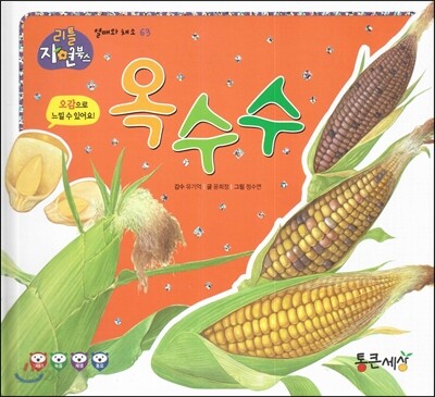 옥수수 (열매와 채소)
