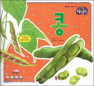 콩 (열매와 채소)