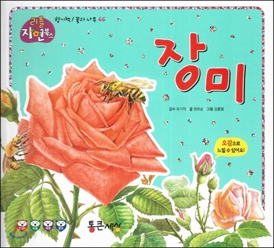 장미 (꽃과 나무)