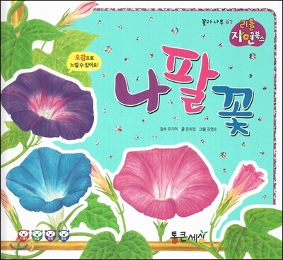 나팔꽃 (꽃과 나무)