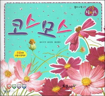 코스모스 (꽃과 나무)