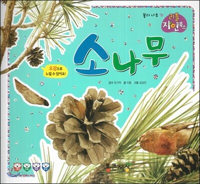 소나무 (꽃과 나무)