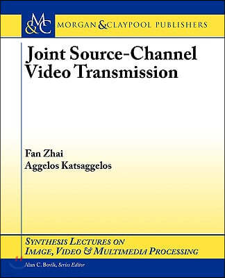 Joint Source-Channel Video Transmission