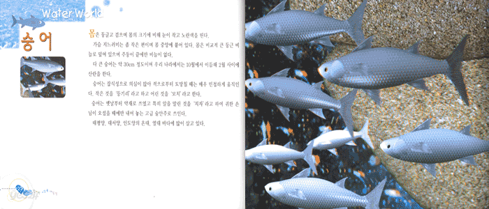 신비한 바닷속 대탐험