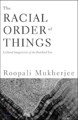 The Racial Order of Things: Cultural Imaginaries of the Post-Soul Era