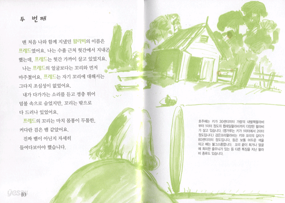 우리 집 마당에는 왈라비가 있어요