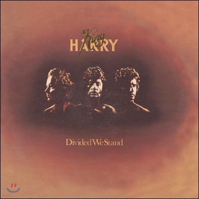 King Harry - Divided We Stand (LP Miniature)