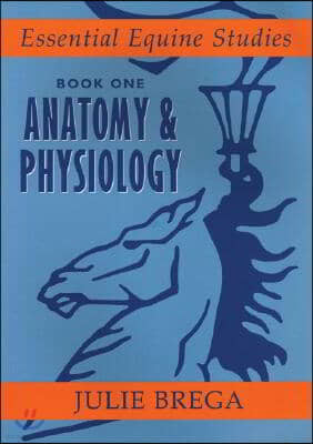 Anatomy & Physiology