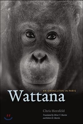 The Wattana