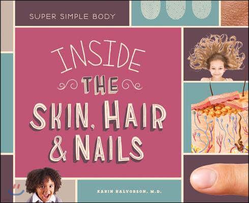 Inside the Skin, Hair, & Nails