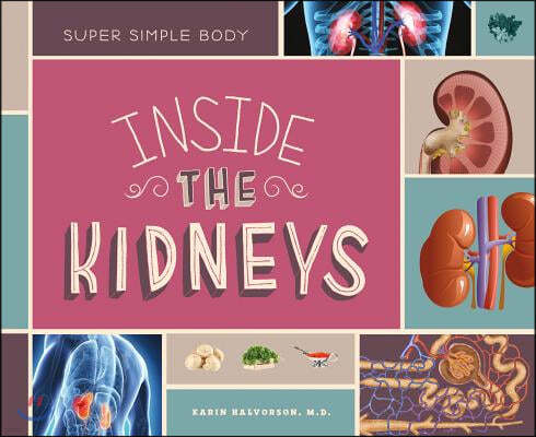 Inside the Kidneys