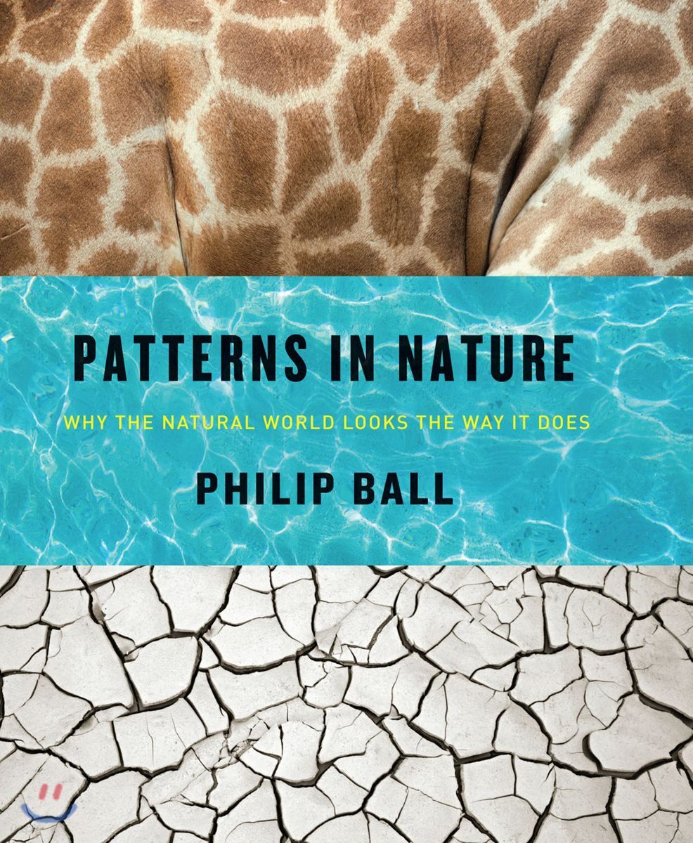 Patterns in Nature: Why the Natural World Looks the Way It Does