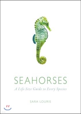 Seahorses: A Life-Size Guide to Every Species