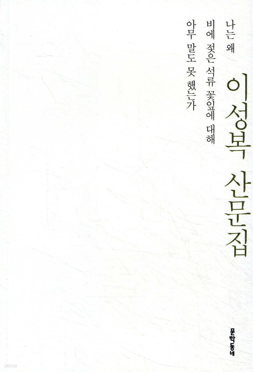나는 왜 비에 젖은 석류 꽃잎에 대해 아무 말도 못 했는가