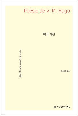 위고 시선 - 지식을만드는지식 고전선집