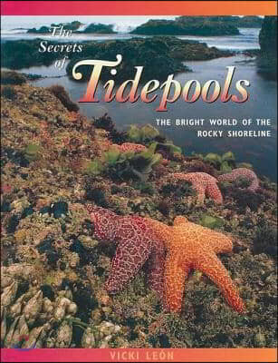 The Secrets of Tidepools: The Bright World of the Rocky Shoreline