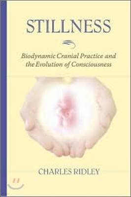 Stillness: Biodynamic Cranial Practice and the Evolution of Consciousness