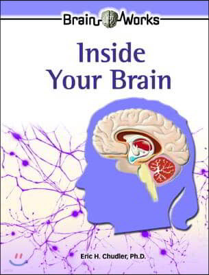 Inside Your Brain