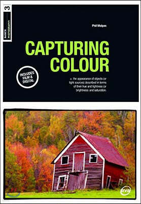 Basics Photography 03: Capturing Colour