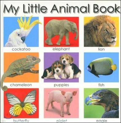 My Little Animal Book