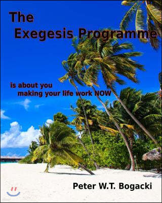 The Exegesis Programme