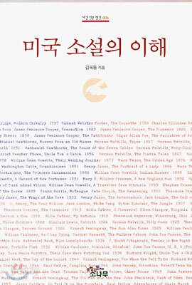 미국 소설의 이해