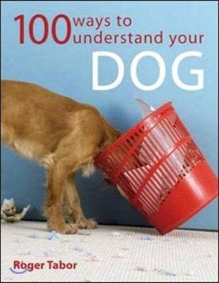 100 Ways to Understand Your Dog
