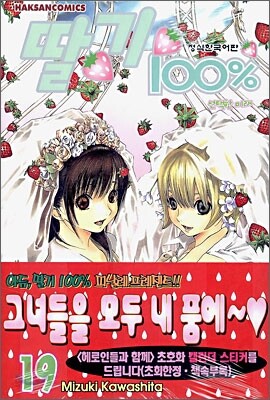 딸기 100% 19
