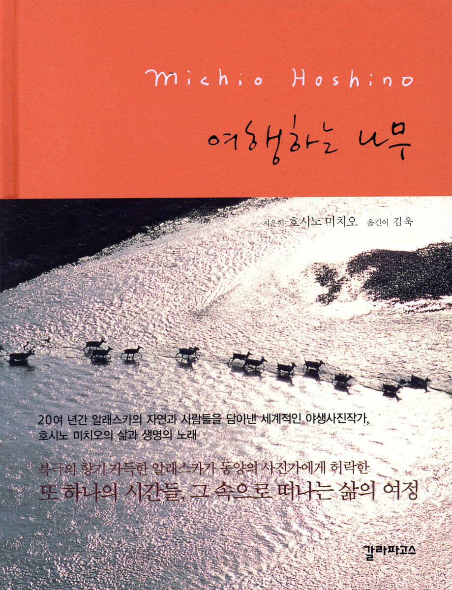 여행하는 나무