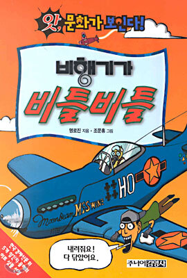 비행기가 비틀비틀