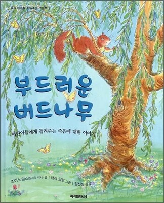 부드러운 버드나무